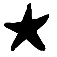 Immortal Star Icon